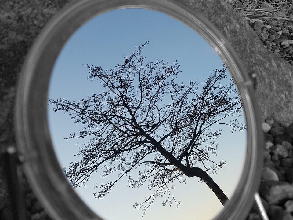 g0cbd3ef91c5f47d98cd0552ae9c91a30718f05ac76e1aa733bd04846e637f696854d498f0239904f6d356cfe79a28b2d42cc97ec82f0db16ebe9463dd090461a 1280 5021380 mirror, nature, tree, reflection, quiet, mood, gray mirror